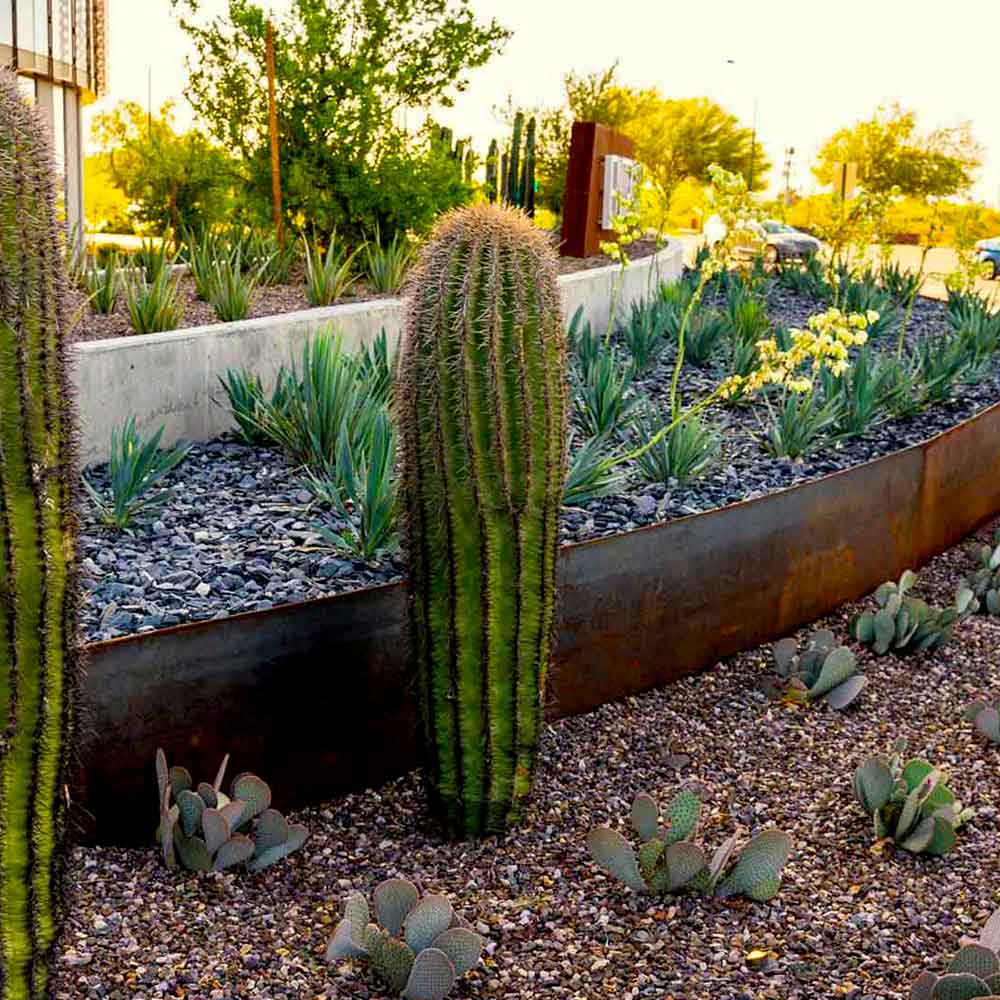 Corten Landscape Edging, Garden Borders